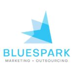 Blue Spark Solutions, Inc.